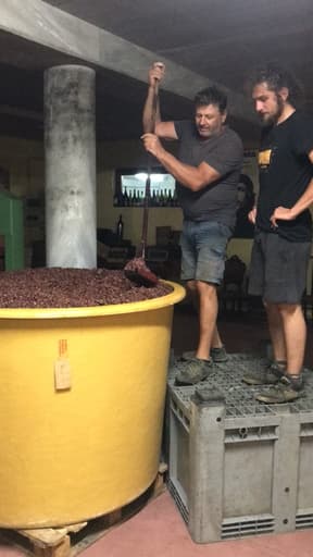 Azienda Agricola Terpin Franco