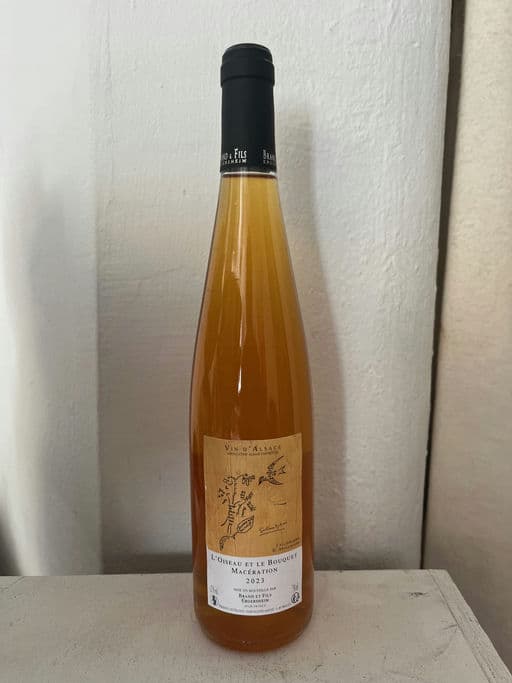 L'oiseau et le bouquet maceration