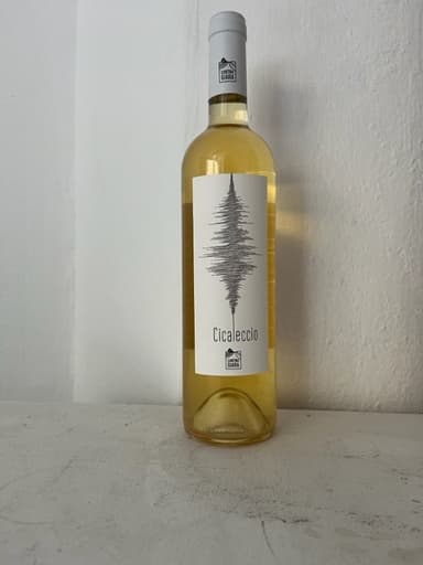 Cicaleccio
